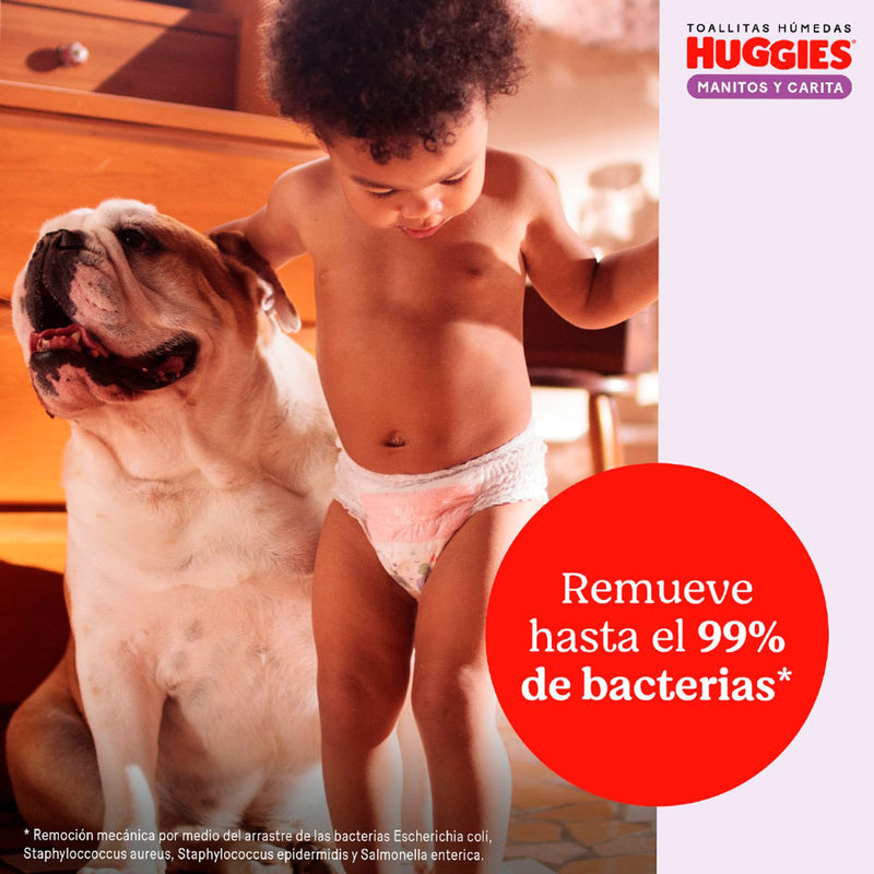 TOALLITAS HÚMEDAS HUGGIES MANITOS Y CARITA X80