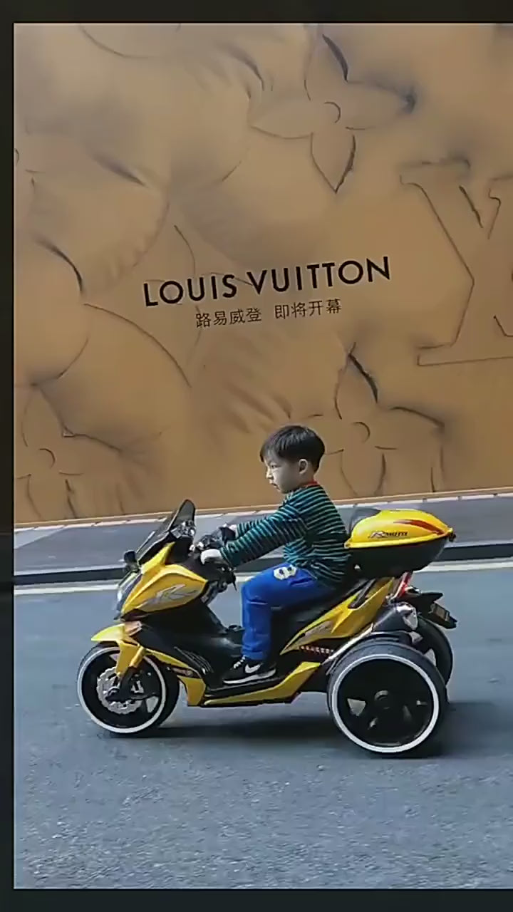 Porta Vaso Para Vehiculo Louis Vuitton